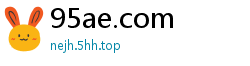 95ae.com